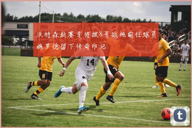 沃特森新赛季将披8号战袍前任球员施罗德留下传奇印记